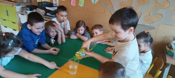 PROJEKT MALI NAUKOWCY - 