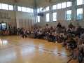 Galeria zdjęć