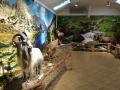 Galeria zdjęć
