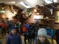 Galeria zdjęć