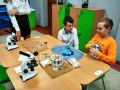 Galeria zdjęć