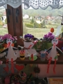 Galeria zdjęć