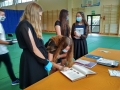 Galeria zdjęć