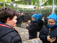 Galeria zdjęć