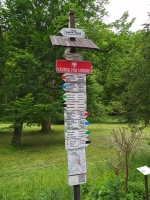 Galeria zdjęć