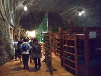 Galeria zdjęć