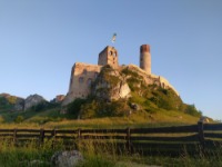 Galeria zdjęć