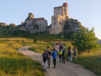 Galeria zdjęć