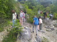 Galeria zdjęć