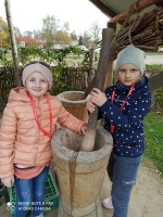 Galeria zdjęć