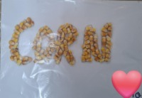 Relacja z konkursu językowo-plastycznego 