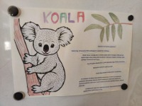 Projekt edukacyjny klasy II - „ZWIERZĘTA ŚWIATA”