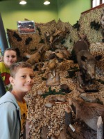 Wycieczka klas I – III do Żywca