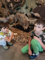 Wycieczka klas I – III do Żywca