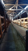Sprawozdanie z wycieczki do Auschwitz