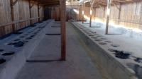 Sprawozdanie z wycieczki do Auschwitz
