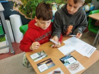 Quizy z okazji Dnia Ziemi