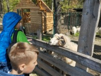 Wycieczka klasy 4 do Żywca