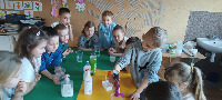 PROJEKT MALI NAUKOWCY - 