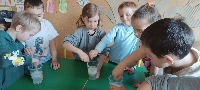 PROJEKT MALI NAUKOWCY - 
