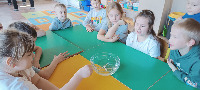 PROJEKT MALI NAUKOWCY - 