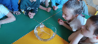 PROJEKT MALI NAUKOWCY - 