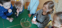 PROJEKT MALI NAUKOWCY - 