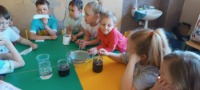 PROJEKT MALI NAUKOWCY - 