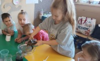 PROJEKT MALI NAUKOWCY - 