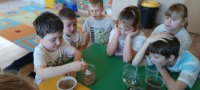PROJEKT MALI NAUKOWCY - 