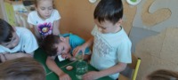 PROJEKT MALI NAUKOWCY - 