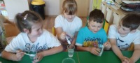PROJEKT MALI NAUKOWCY - 