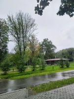 Galeria zdjęć