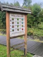 Galeria zdjęć
